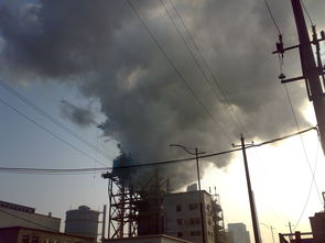 蓝天一片 CAD软件技术在可持续工厂建设中的交流与展望