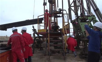 技术融合促发展 大港油田井下作业公司领导一行赴准东采油厂开展深度技术交流